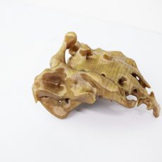 PEEK-Medical-Research-4